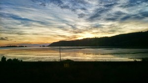 Morning Sun