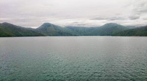 DSC_1174