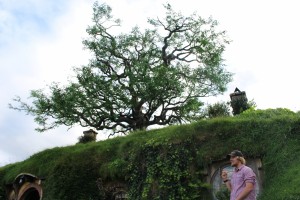 IMG_0153 (3000x2000)