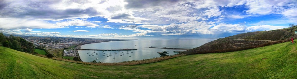 view